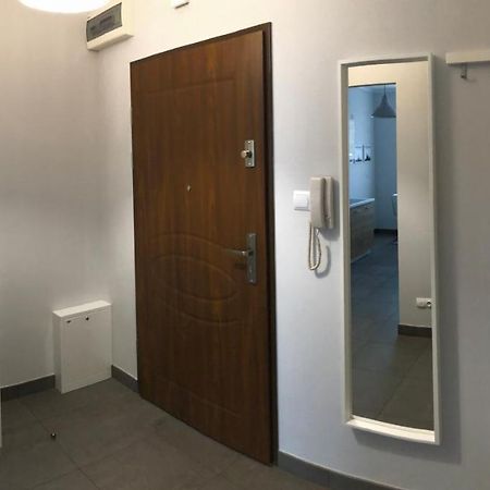 שווידניקה Apartament Smialego 9 מראה חיצוני תמונה