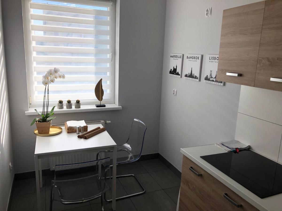 שווידניקה Apartament Smialego 9 מראה חיצוני תמונה