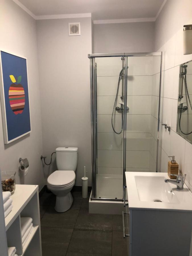 שווידניקה Apartament Smialego 9 מראה חיצוני תמונה