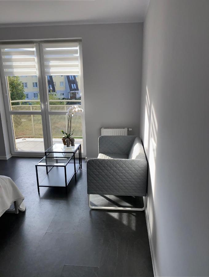 שווידניקה Apartament Smialego 9 מראה חיצוני תמונה